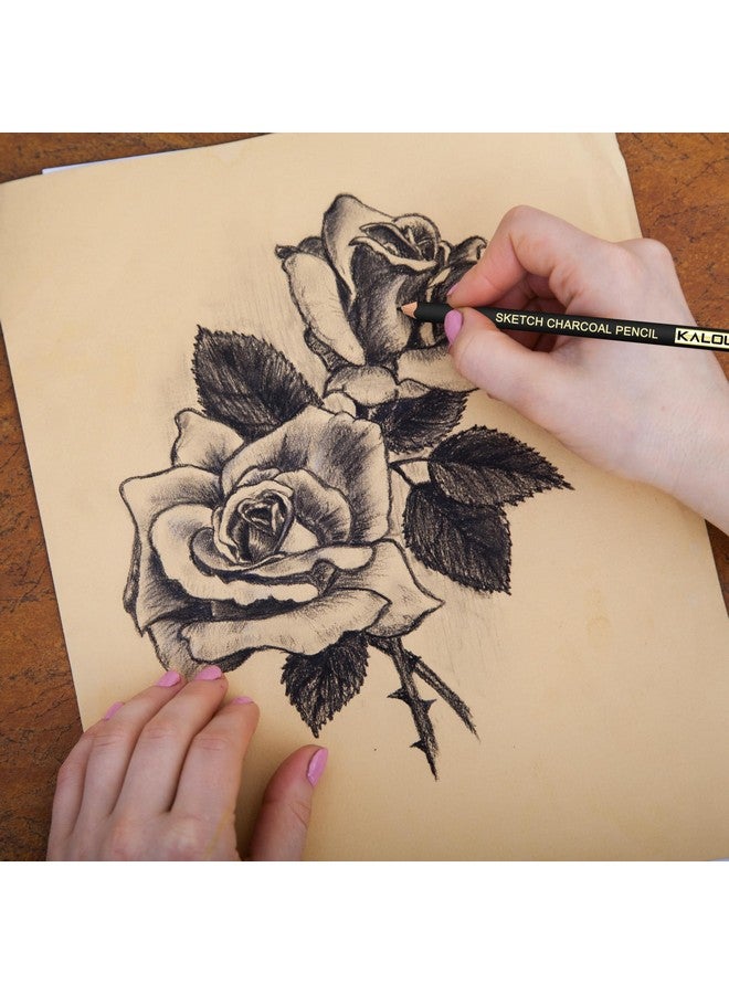 KALOUR Professional Charcoal Pencils Drawing Set 12 Pieces Soft Medium And Hard Charcoal Pencils For Drawing Sketching Shading Artist Pencils For Beginners & Artists - Image 3