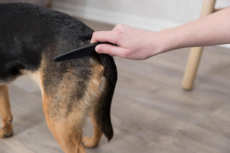 Trixie Flea And Dust Comb 21cm - Image 5