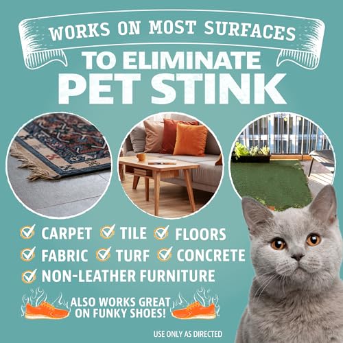 ANGRY ORANGE Pet Odor Eliminator for Cat Urine, Carpet Stains, and Strong Smells – Fresh Scent Odor Remover- 24 oz - Image 3