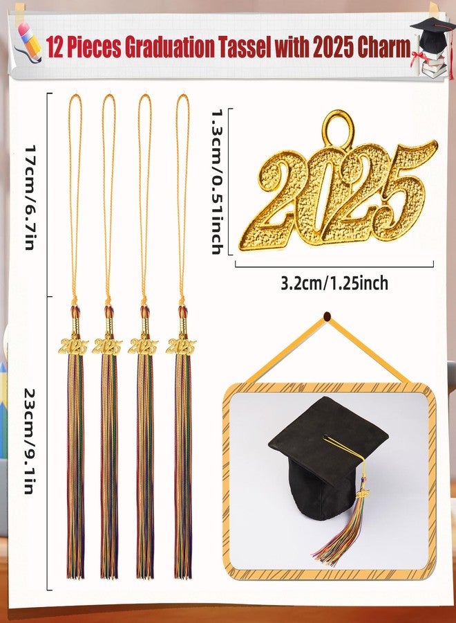 MixTeach 12 Pieces Graduation Tassel with 2025 Charm for Graduations Cap, Charm Graduation Tassel Decorations for Graduation Ceremony Graduation Party Supplies Accessories(Multicolor, 2025) - Image 2
