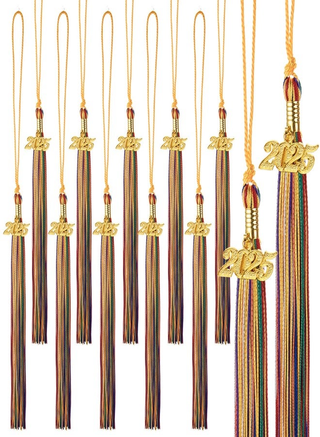 MixTeach 12 Pieces Graduation Tassel with 2025 Charm for Graduations Cap, Charm Graduation Tassel Decorations for Graduation Ceremony Graduation Party Supplies Accessories(Multicolor, 2025) - Image 1