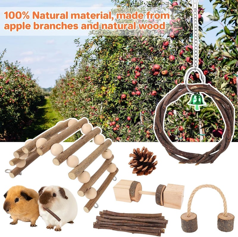 LINJIE Odor resistant LinJie Hamster Chew Toys Set,Small Animal Molar Toys,Wooden Chew Toys,for Guinea Pigs,Chinchillas,Gerbils,Mice,Rats,Mouse Rodents Toy Swing Seesaw Bridge (Wood) Multi-color available build - Image 5
