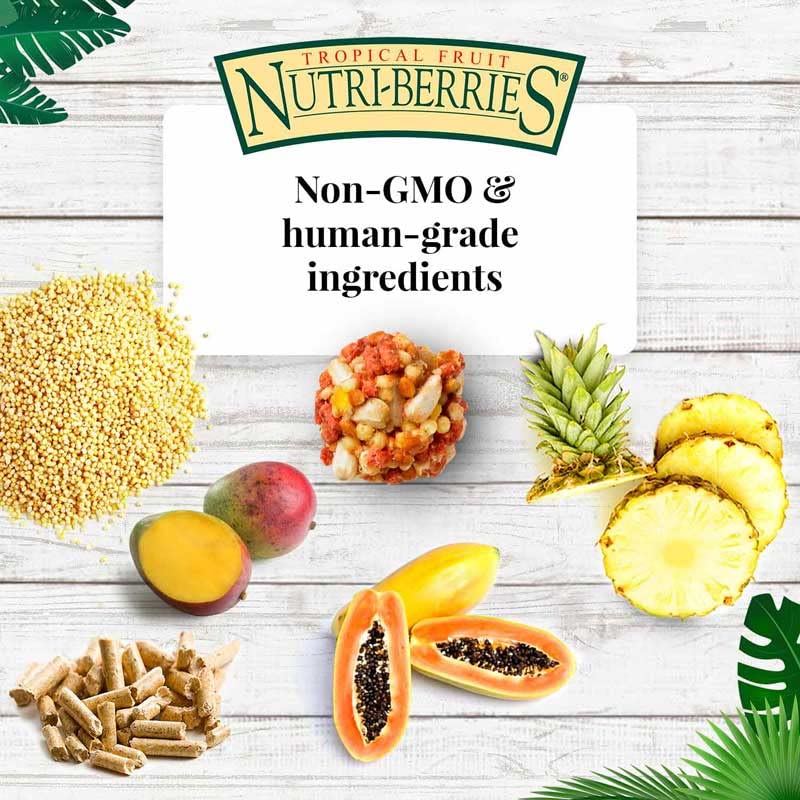 LAFEBER'S Tropical Fruit Nutri-Berries Pet Bird Food, Made with Non-GMO and Human-Grade Ingredients, for Cockatiels Conures Parakeets (Budgies) Lovebirds (Tropical Fruit 10 oz Pack of 2) - Image 4