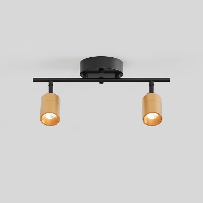 VidaLite Shura Black & Brass 2-Light Track Light with Adjustable Heads, Integrated LED Bulbs, 15 in. Track Lighting Kit Ceiling Light, 3000k, 1120 Lumens - Image 1