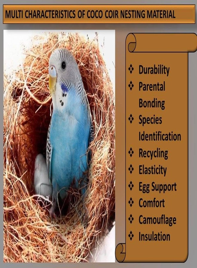 MASHKI Coconut Fiber, Loose Bedding Substrate Laying Eggs for Birds Nest Cages, Nesting Material Birds (150) - Image 3