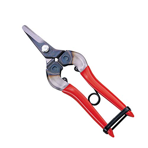ARS HP-310 Curved Blade Fruit Pruner - Image 5