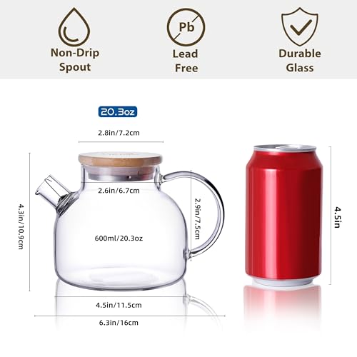 CnGlass Glass Teapot Stovetop Safe,20.3 oz Clear Tea pot with Removable Filter Spout,Loose Leaf and Blooming Tea Maker - Image 2