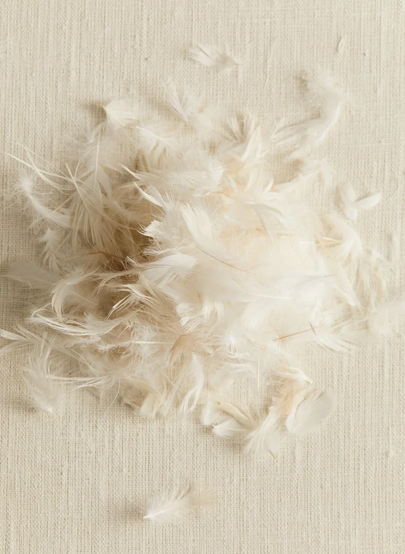 اتش اند ام Feather-Filled Inner Cushion