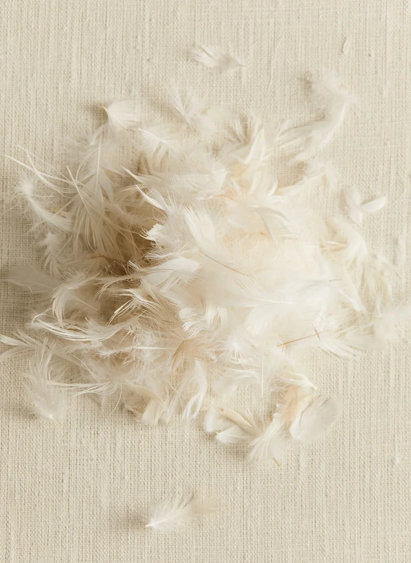 اتش اند ام Feather-Filled Inner Cushion