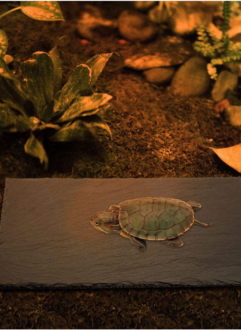 Excefore - Reptile Basking Platform, Natural Rock Reptile Food Bowl and Habitat Decor for Various Reptiles, Suitable for Turtles, Lizards, Bearded Dragons (30 * 15cm) - Image 1