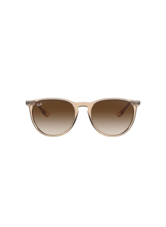 راي بان نظارات شمسية أفياتور - Image 1