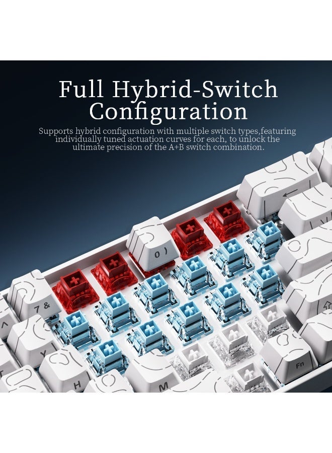 A-jazz AK680 V2 HE Fast-Trigger Mechanical Gaming Keyboard, 60% Wired, Hall-Effect Magnetic Switches, Hot-Swappable Magnetic Switches, Fast-Trigger Mode with Adjustable Trigger Speed, 8000 Hz Polling Rate, RGB Mini Keyboard, 60% Compact Design, Suitable for PC and Esports - Image 4