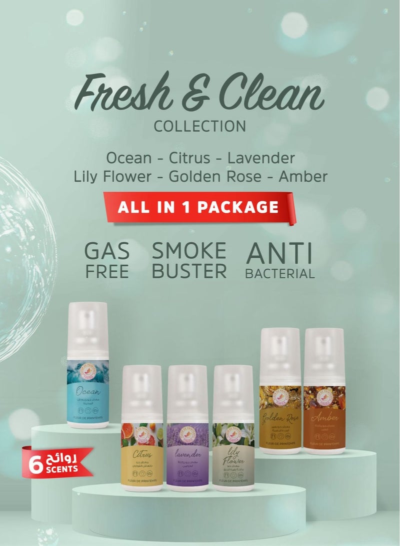 Fleur De Printemps Fresh & Clean Air Freshener Box | 6 Scents: Ocean, Citrus, Lavender, Lily Flower, Golden Rose, Amber | Refreshing | Gas-Free & Anti-Smoking | Perfect for Home, Car, Office, Fabrics - Image 1