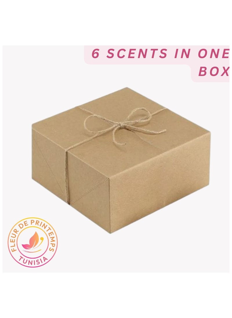 Fresh & Clean Air Freshener Box | 6 Scents: Ocean, Citrus, Lavender, Lily Flower, Golden Rose, Amber | Refreshing | Gas-Free & Anti-Smoking | Perfect for Home, Car, Office, Fabrics - pzsku/ZB9CB6C67E63BE260BB4FZ/45/1741102980/5a37493b-36f1-47e1-85cf-efc112604ca3