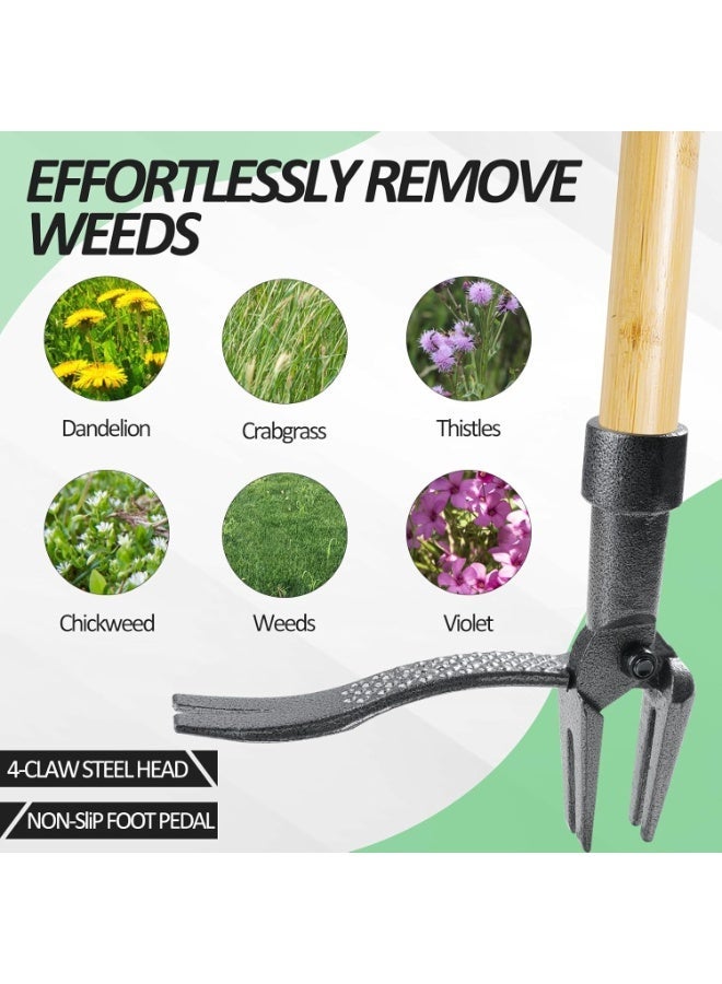 Bukela Weed Puller Tool, Stand-Up Weed Root Puller, Ergonomic Long Handle Weeder for Lawn & Garden, Heavy Duty Dandelion Remover with 4-Claw Design, No Bending or Kneeling - Image 2