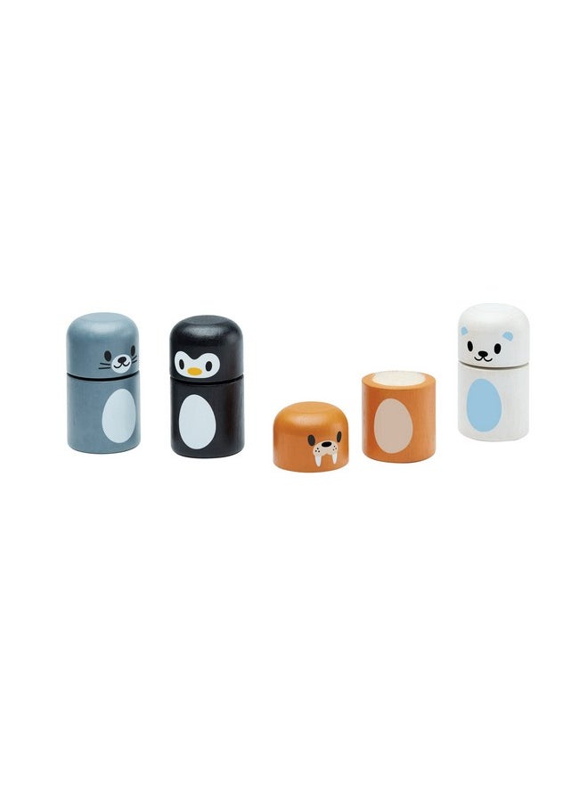 PlanToys Arctic Animal Matching (5484)  - Image 1
