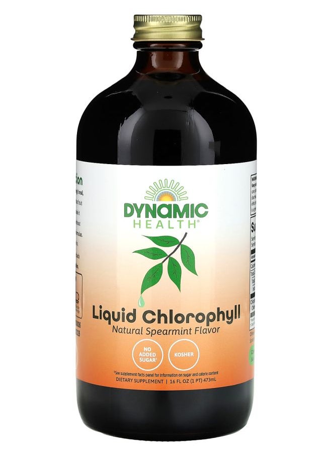 Dynamic Health Liquid Chlorophyll Natural Spearmint 16 fl oz (473 ml) 