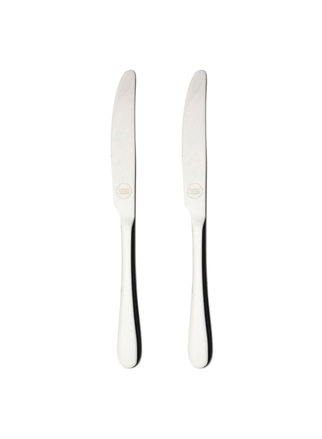 NIBEMINENT 2-Piece Stainless Steel Table Knives Silver 2x23x1cm - Image 1