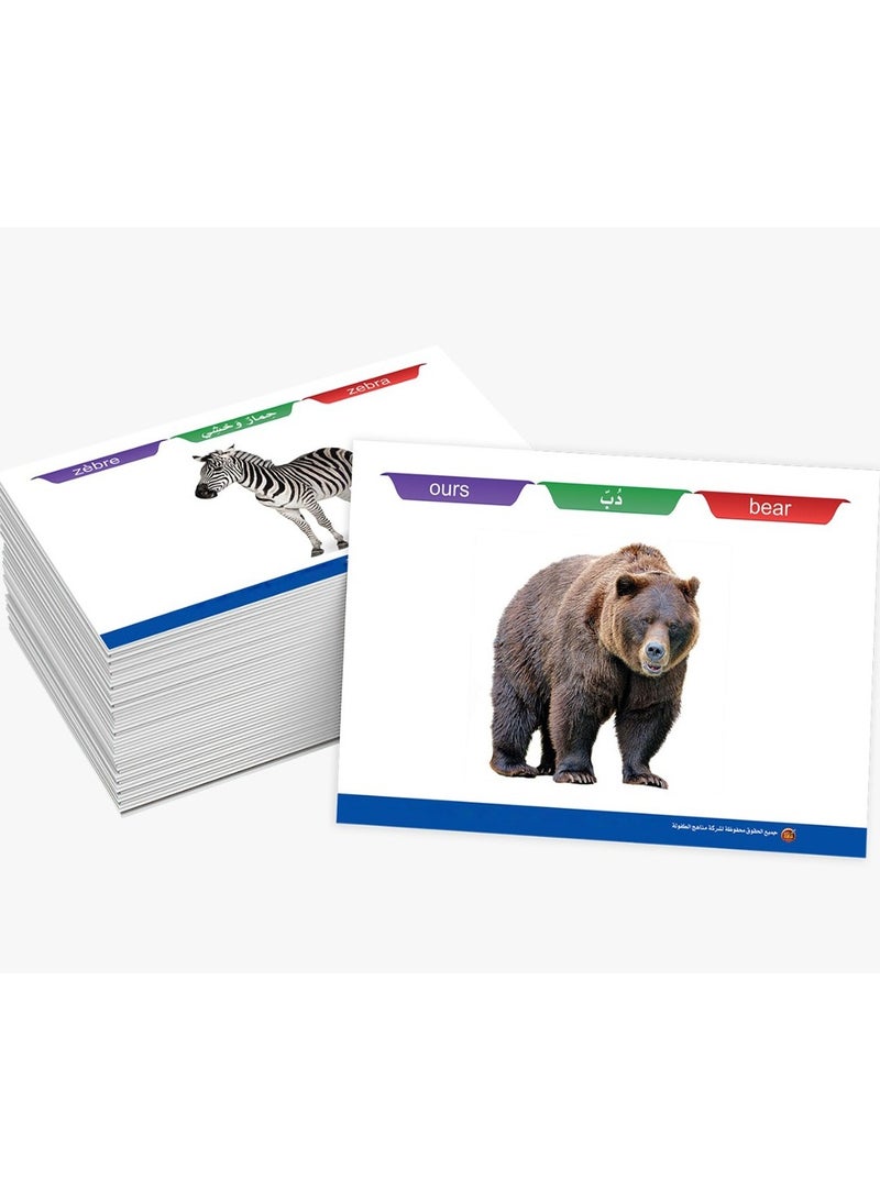 Birds and Animals Flashcard Series - Image 2