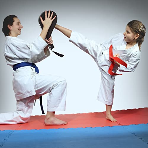 Estink وسادة ركلة التايكوندو، هدف تدريب التايكوندو كاراتيه كيك بوكسينغ، وسادة تدريب الركل، 15.4" × 7.7" × 2"، سوداء - Image 4