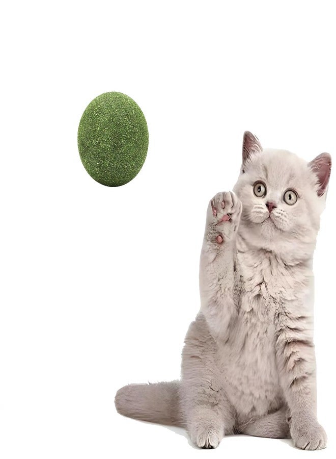 AOODOOM 2 inch Giant Catnip Ball for Cats, Large Catnip Ball for Cats Indoor - Image 1