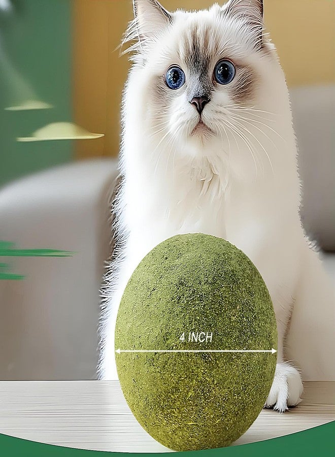 AOODOOM 2 inch Giant Catnip Ball for Cats, Large Catnip Ball for Cats Indoor - Image 5