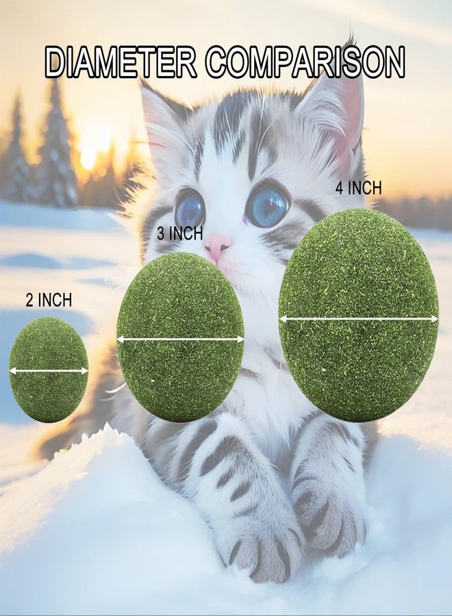 AOODOOM 2 inch Giant Catnip Ball for Cats, Large Catnip Ball for Cats Indoor - Image 2