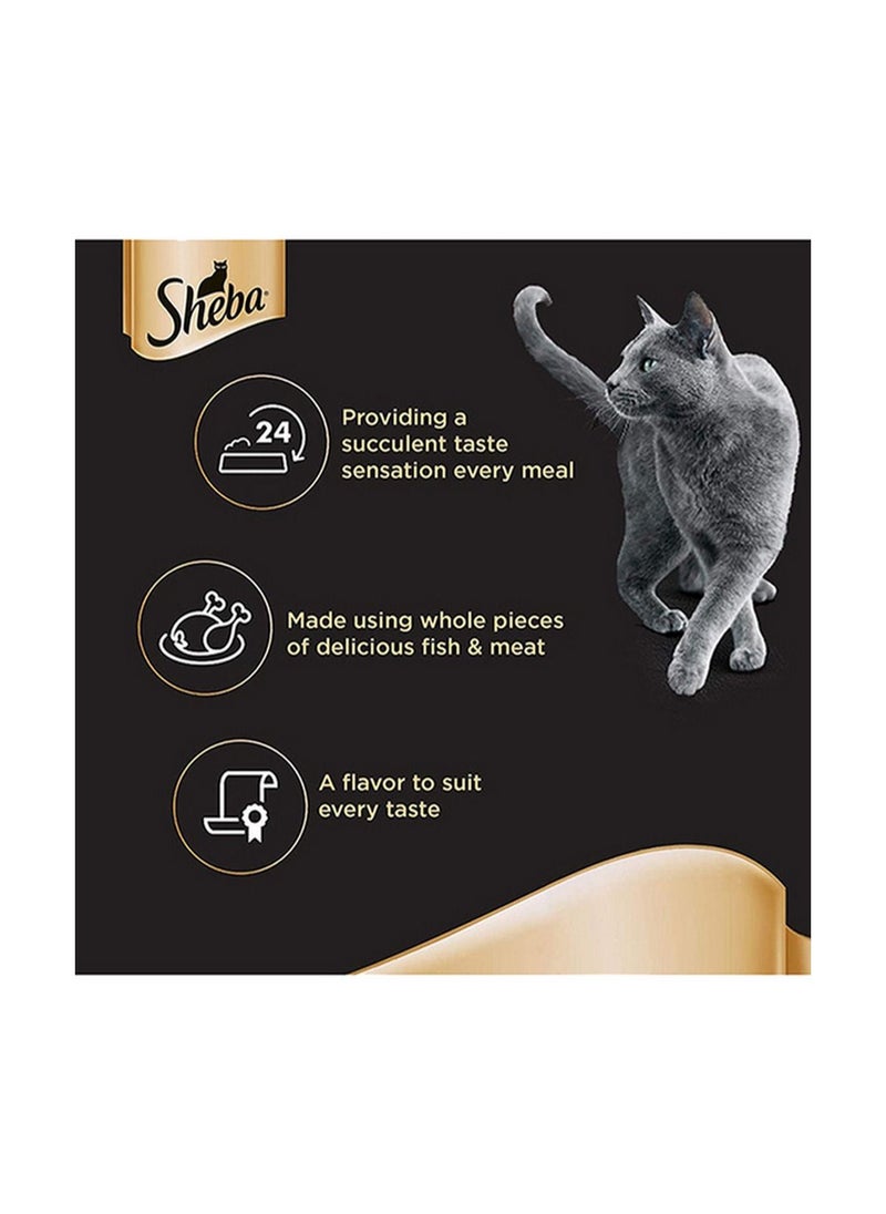 Sheba Tuna And Salmon In Gravy Cat Wet Food 85g Pack of 6  - Image 2