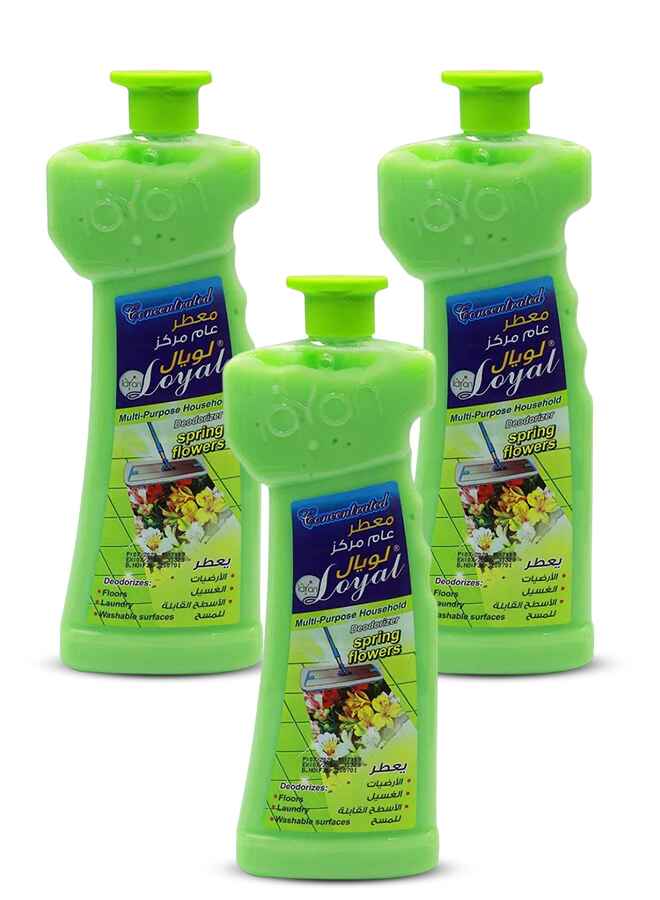 loyal Multi-Purpose Household Deodorizer Concentrated Gel, Spring Flowers, 3x700ml