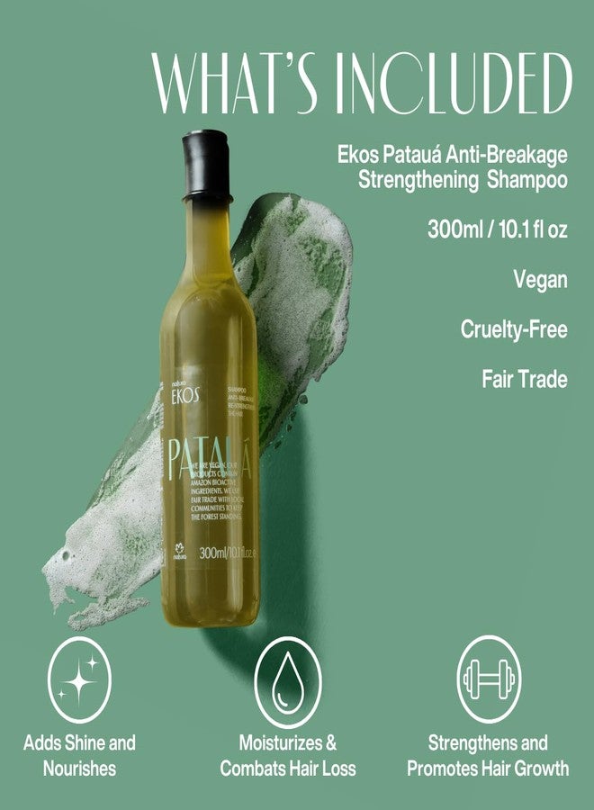 natura - Ekos Patauá Hair Anti-Breakage Re-Strengthening Shampoo - Prevent Hair Loss - Fortify Roots & Strands - Vegan Hair Care - Brazilian Beauty Secrets - Personal & Self Care - 10.1 fl oz (300ml) - Image 4