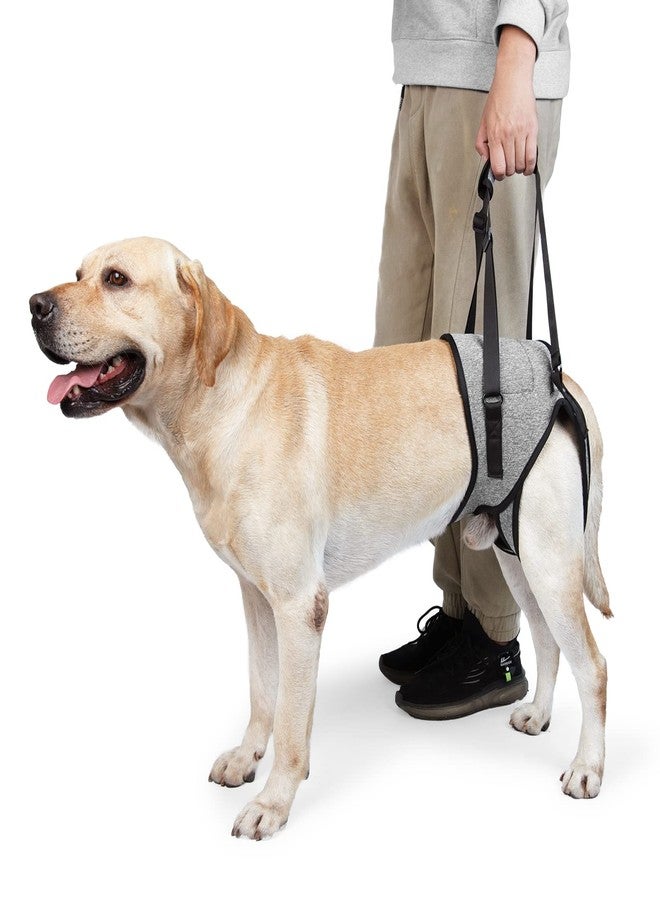 JOHNBOLIN Dog Lift Harness, Dog Sling with Padded, Hind Leg Support to Help Rehabilitate, Helps Senior, Injured, Disabled and After ACL Surgery Dogs (Grey, Small) - Image 1