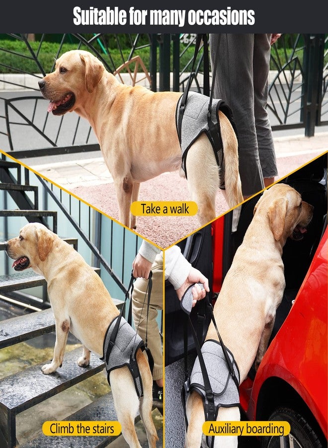 JOHNBOLIN Dog Lift Harness, Dog Sling with Padded, Hind Leg Support to Help Rehabilitate, Helps Senior, Injured, Disabled and After ACL Surgery Dogs (Grey, Small) - Image 2
