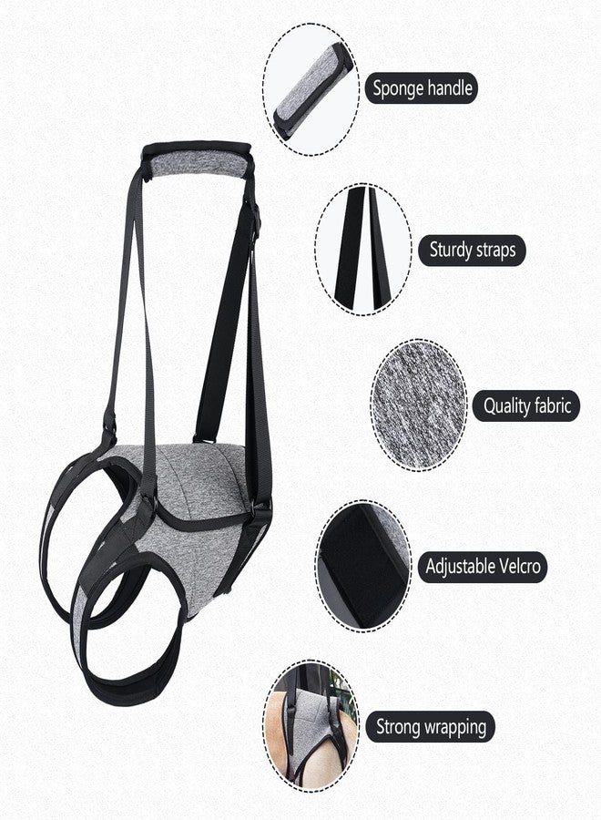 JOHNBOLIN Dog Lift Harness, Dog Sling with Padded, Hind Leg Support to Help Rehabilitate, Helps Senior, Injured, Disabled and After ACL Surgery Dogs (Grey, Small) - Image 5