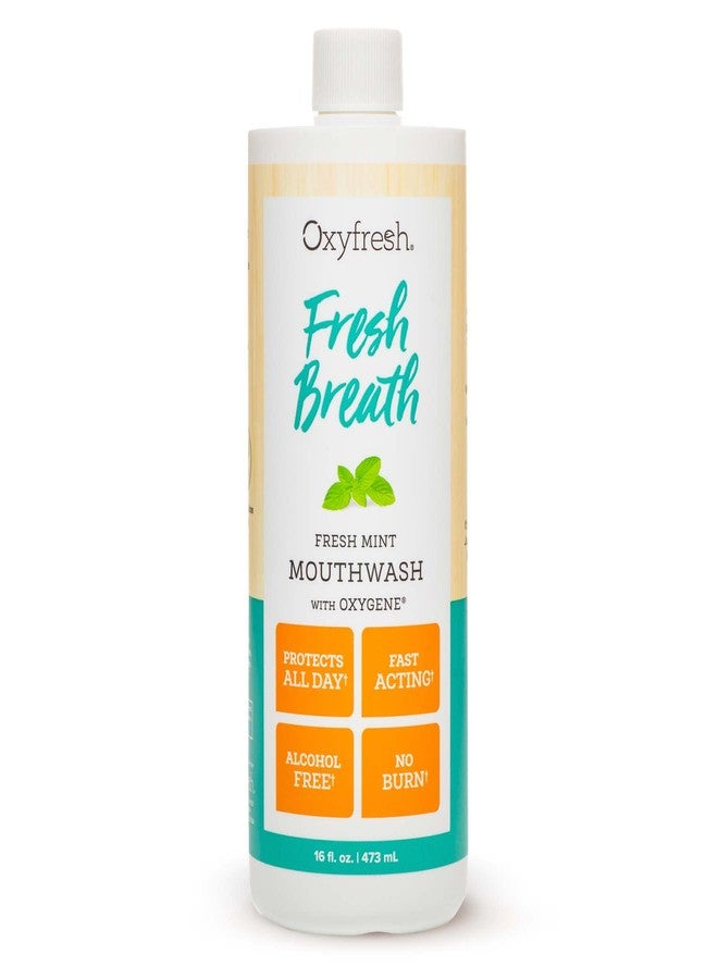 Oxyfresh Fresh Breath Fresh Mint Mouthwash - Dentist Recommended for Long-Lasting Fresher Breath & Healthy Gums | Alcohol & Fluoride Free (1-16 oz Bottle) - Image 1