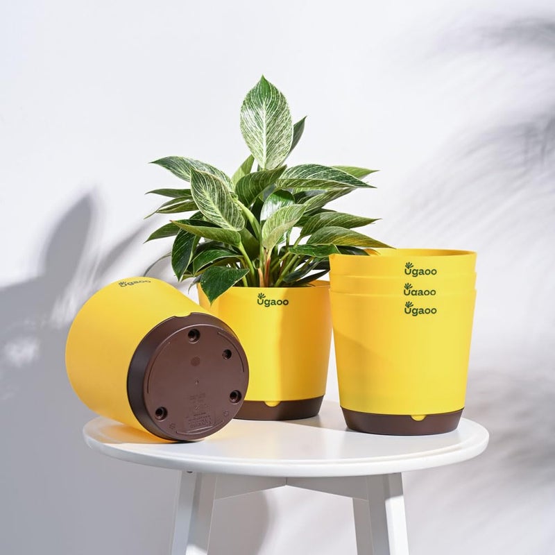 UGAOO 7.5 Inch Krish Self Watering Planter - Set of 5 (Yellow) | Flower Pots for Indoor Plants | Plastic Planter Pots | Decorative Pots for Living Room, Kitchen, Office | Planters for Home Decor - Image 5