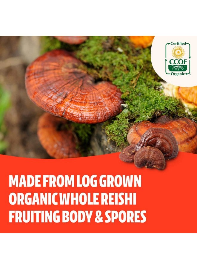 FreshCap Mushrooms Freshcap Organic Reishi Mushroom Capsules 120 Count 60 Day Supply Supplement For Healthy Aging Sleep And Immunity Concentrated Extract From Whole Fruiting Body And Spore - Image 4