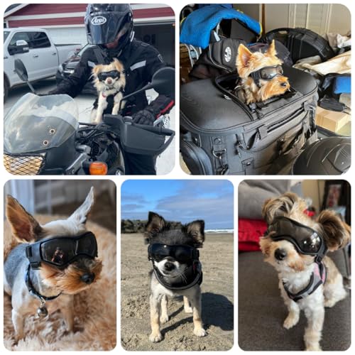 Billionchains Dog Sunglasses for Extra Small Breed UV Protection Windproof XS Dog Goggles with Adjustable Head & Chin Straps for Ride Car/Hiking Travel/On Beach-Black - Image 2