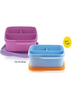 Tupperware Lunch Box with Compartments Set of 2 