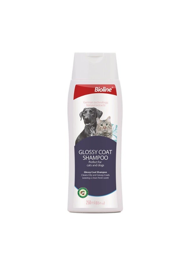 Bioline Deeply cleanse and condition pet’s skin and fur Glossy Coat Shampoo for Dogs & Cats 250ml - Image 1
