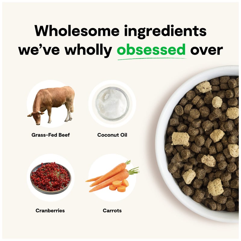 Open Farm, RawMix Grain-Free Dry Dog Food, Protein-Packed Kibble Coated in Bone Broth with Freeze Dried Raw Chunks, Beef Pork & Lamb, Front Range Recipe, 3.5lb Bag - Image 3