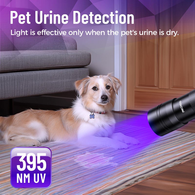 Rechoo Black Light UV Flashlight 2 Pack, 12 LED 395nm UV Flashlight, Portable Mini UV Light Waterproof, Blacklight for Pet Urine Detection, Dry Stains, Bed Bug, Fluorescent Agent (Batteries not included) - Image 3