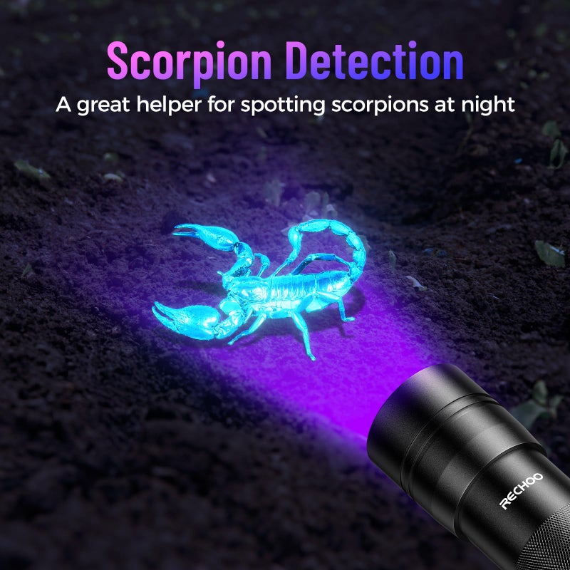 Rechoo Black Light UV Flashlight 2 Pack, 12 LED 395nm UV Flashlight, Portable Mini UV Light Waterproof, Blacklight for Pet Urine Detection, Dry Stains, Bed Bug, Fluorescent Agent (Batteries not included) - Image 4
