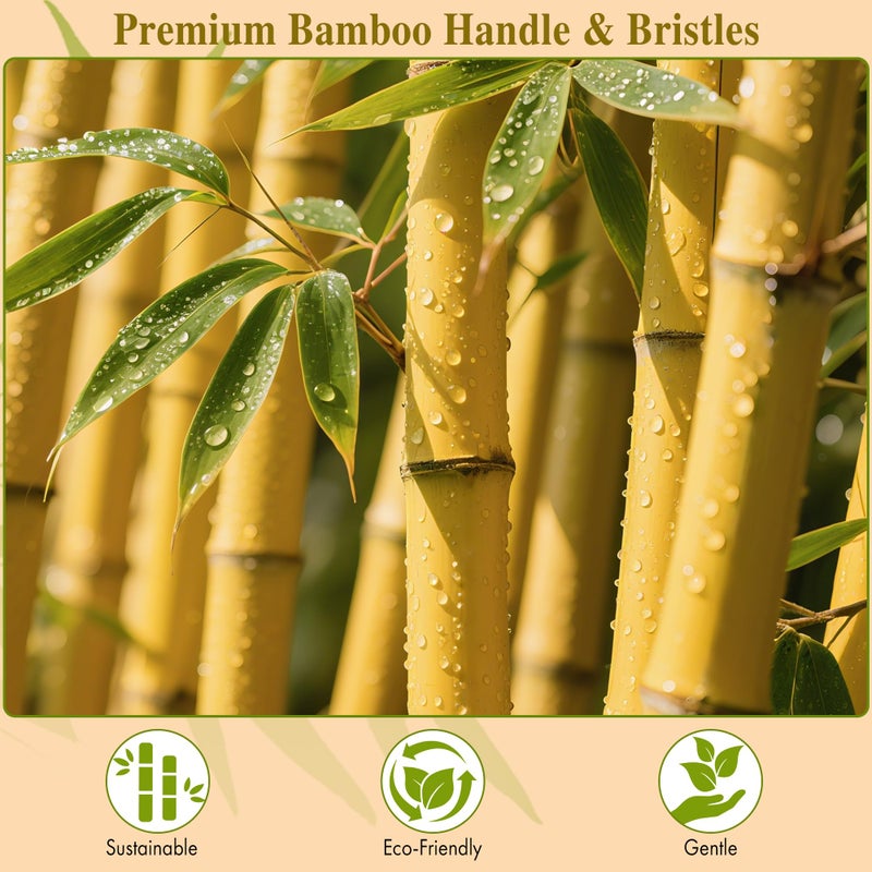 BFWood فرشاة شعر من الخيزران BFWood مع شعيرات خيزران لتدليك فروة الرأس - Image 3