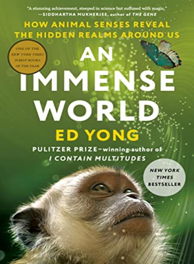 IMMENSE WORLD
