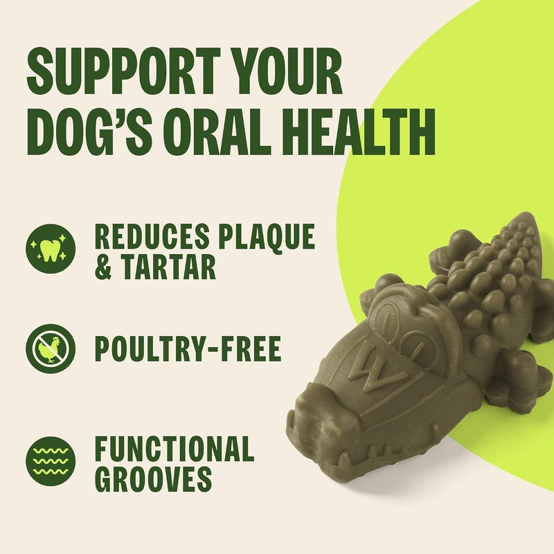 Whimzees Natural Grain Free Daily Dental Long Lasting Dog Treats, Alligator, Large, Bag of 6 - Image 4