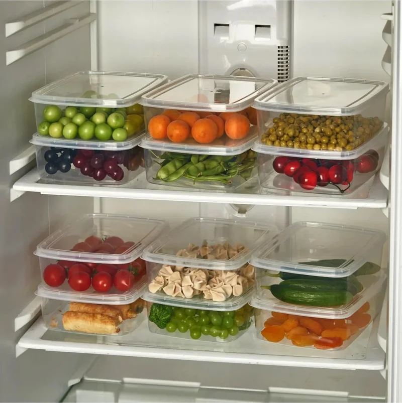 Hane216 5 Pieces Frozen Meal and Vegetable Storage Container - Portion Freezer Minced Meat Box