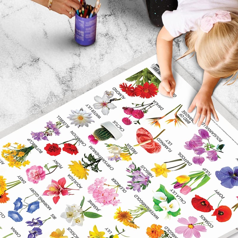 GoWoo Set of 2 Wild Animals and Flowers Early Learning Educational Charts for Kids | 20"X30" inch |Non-Tearable and Waterproof | Double Sided Laminated | ... Kindergarten and Nursery Students - Image 5