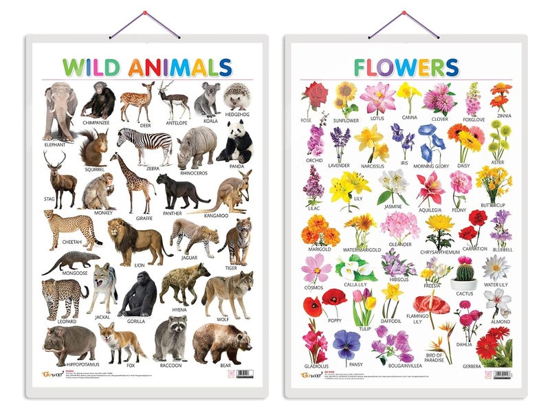 GoWoo Set of 2 Wild Animals and Flowers Early Learning Educational Charts for Kids | 20"X30" inch |Non-Tearable and Waterproof | Double Sided Laminated | ... Kindergarten and Nursery Students - Image 1