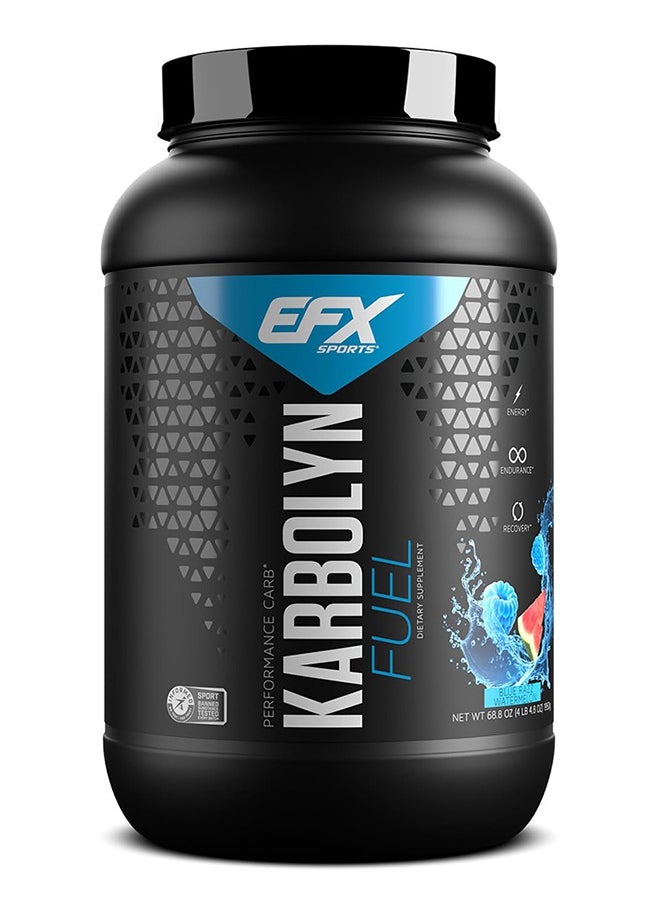 EFX SPORTS Karbolyn Fuel 1950g Blue Razz Watermelon 