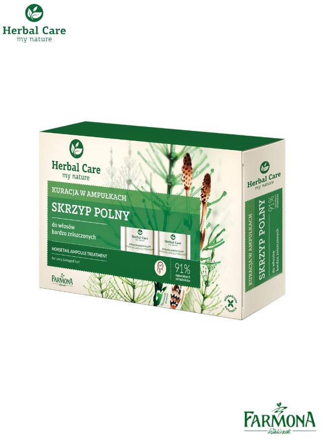 فارمونا هيربال كير أمبولات عشبة ذيل الحصان للشعر المتضرر بشدة 5x5مل - Image 1